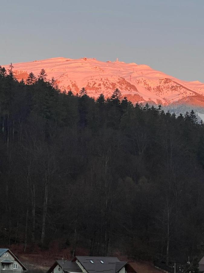 Riky Apart Mountain View Apartment Sinaia Luaran gambar