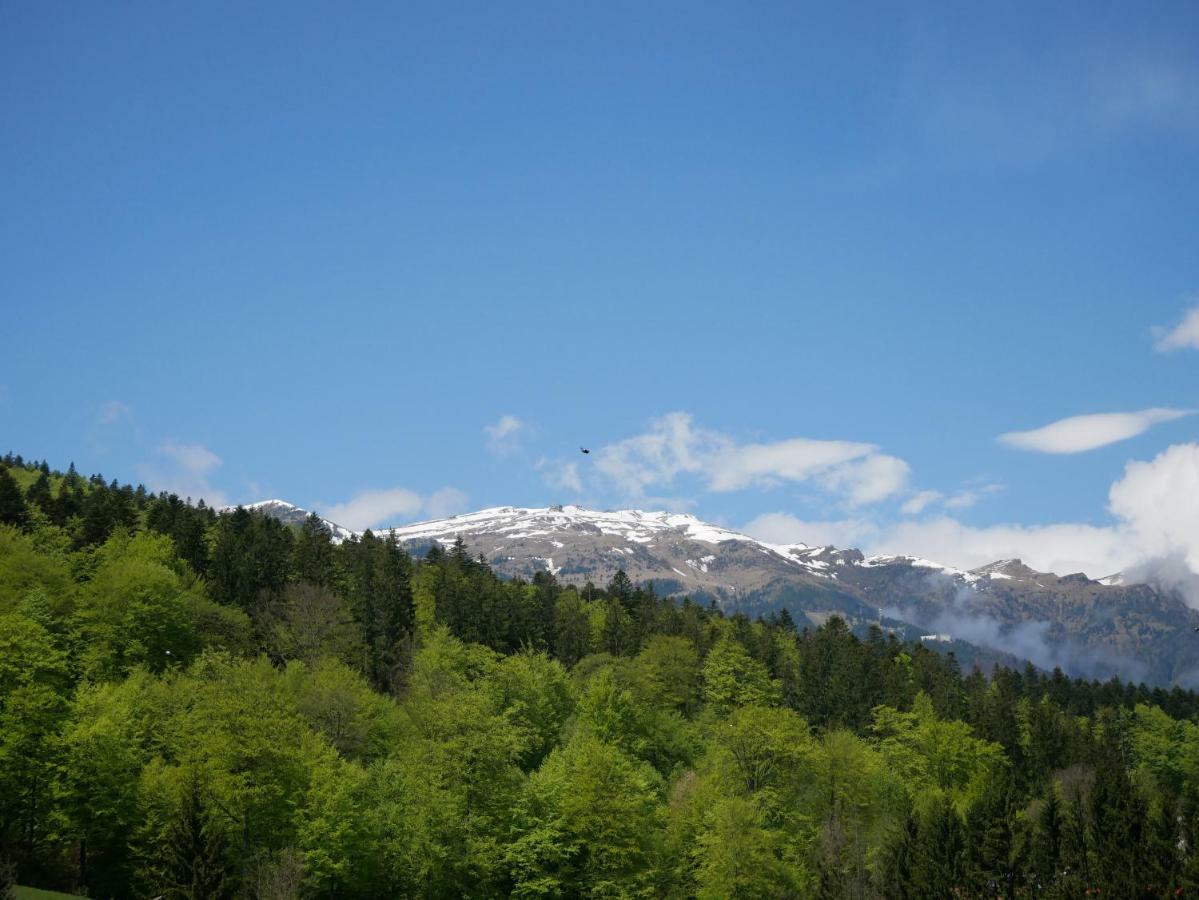 Riky Apart Mountain View Apartment Sinaia Luaran gambar