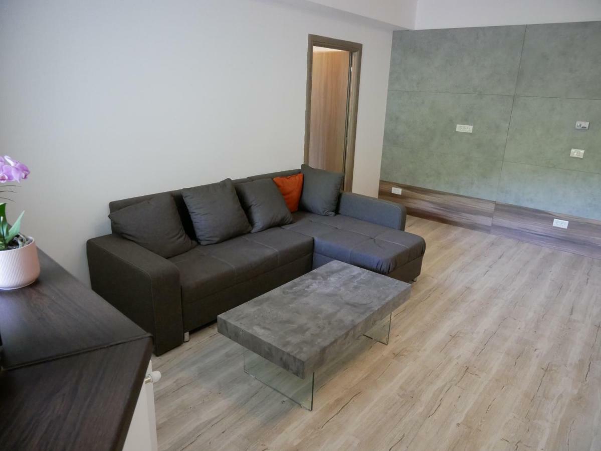 Riky Apart Mountain View Apartment Sinaia Luaran gambar