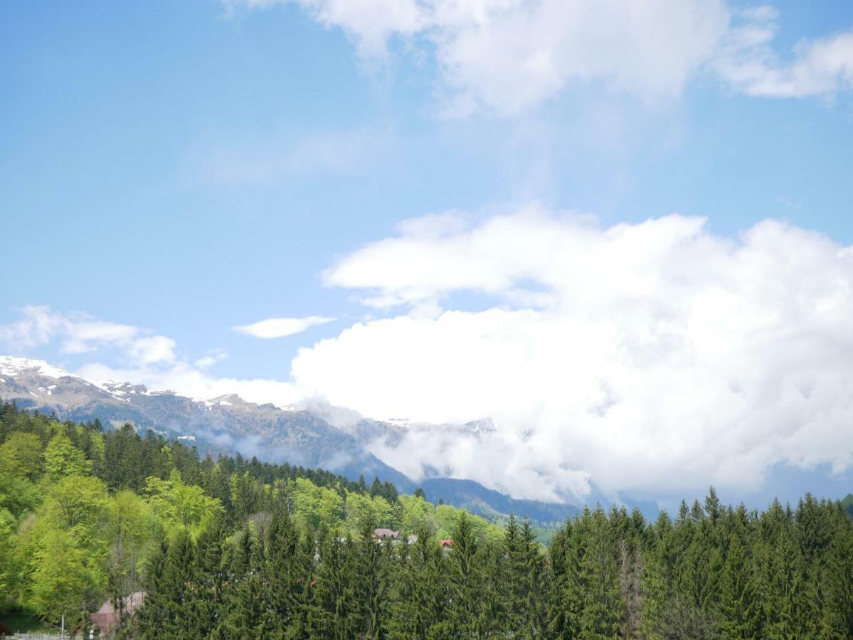 Riky Apart Mountain View Apartment Sinaia Luaran gambar