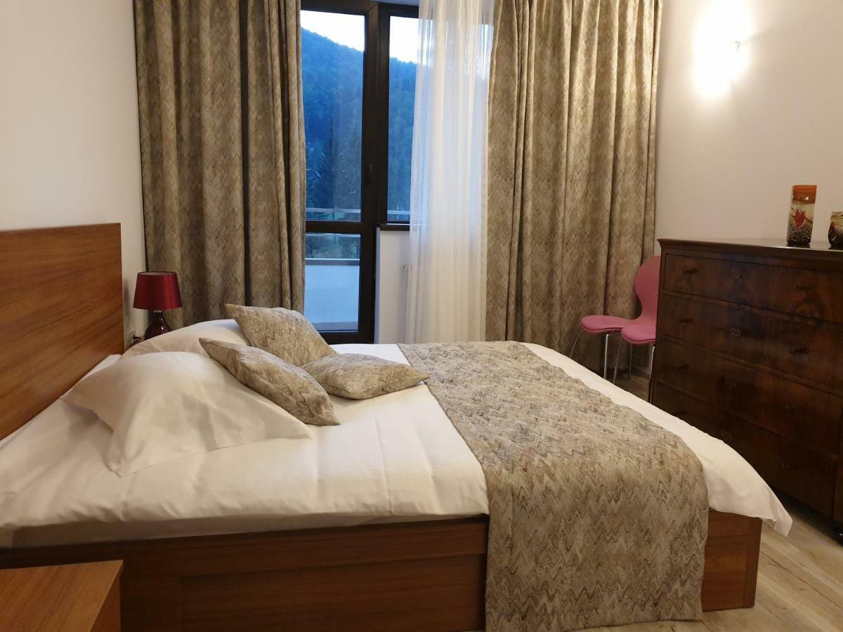 Riky Apart Mountain View Apartment Sinaia Luaran gambar