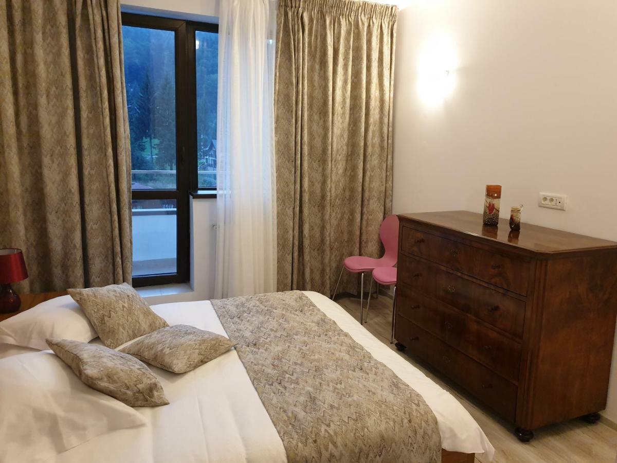 Riky Apart Mountain View Apartment Sinaia Luaran gambar