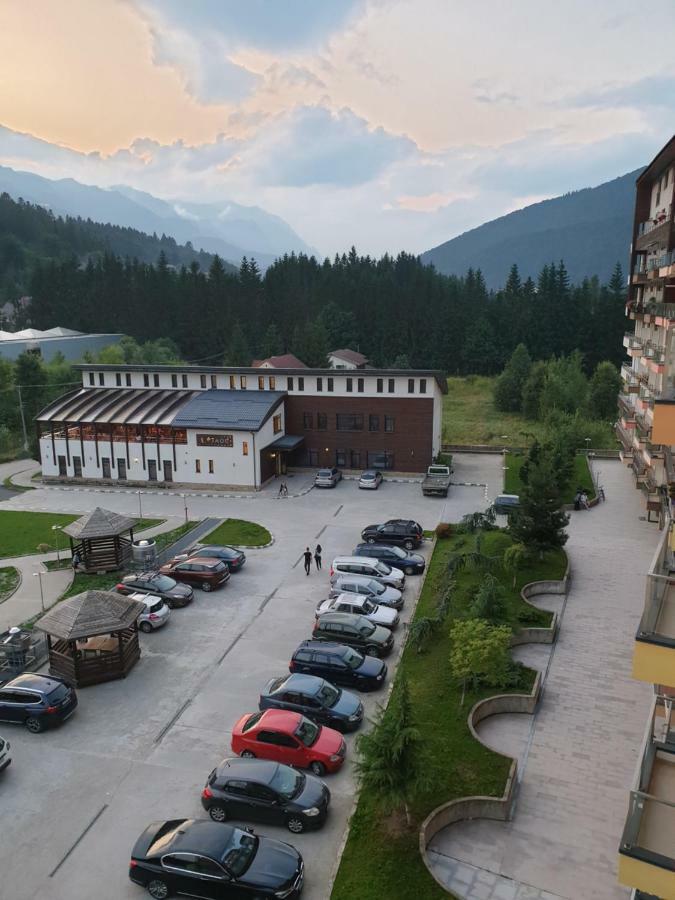 Riky Apart Mountain View Apartment Sinaia Luaran gambar