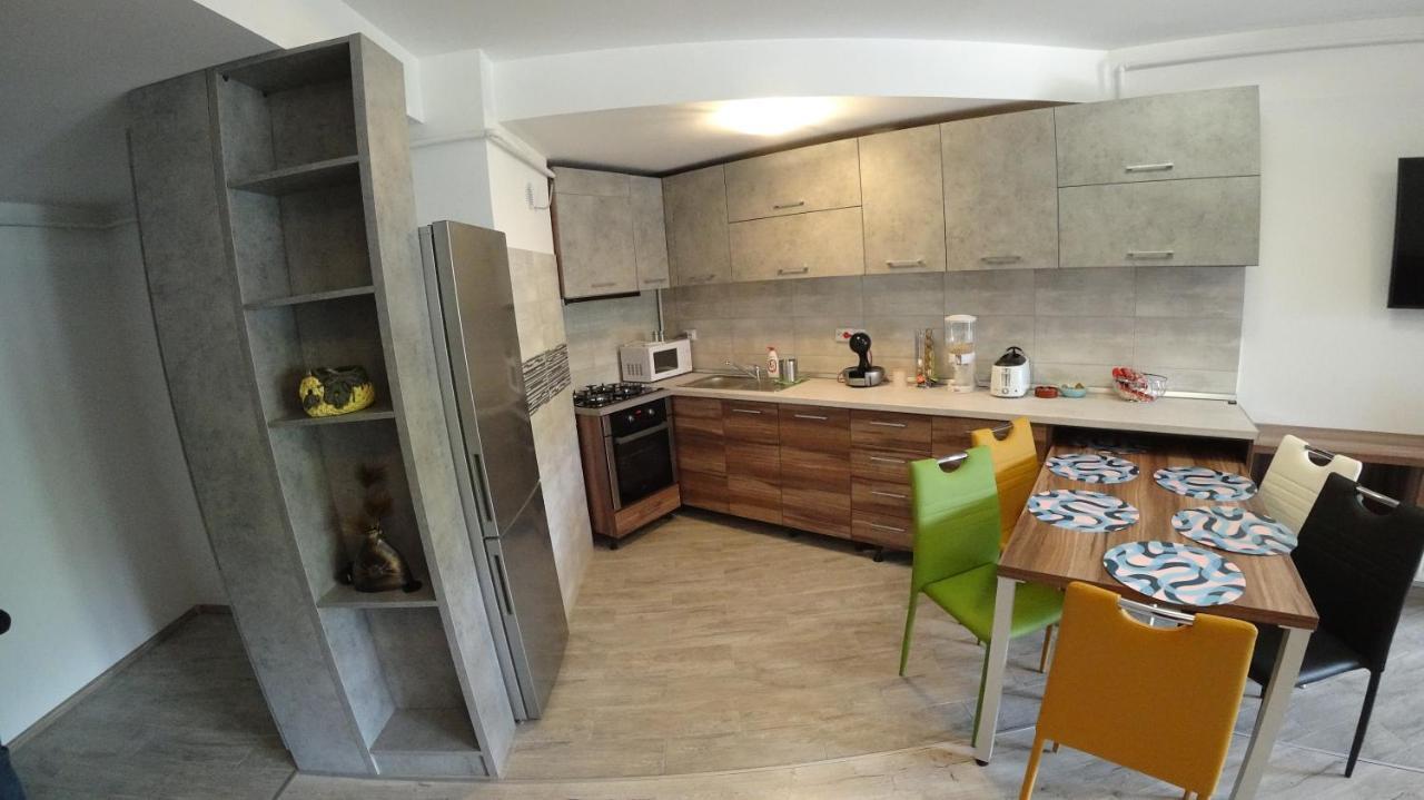 Riky Apart Mountain View Apartment Sinaia Luaran gambar